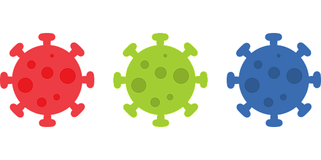corona virus