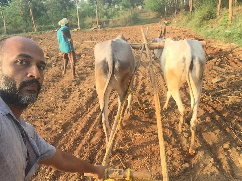உழவுப் பணியில்