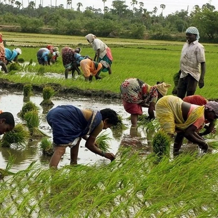 விவசாயிகள்