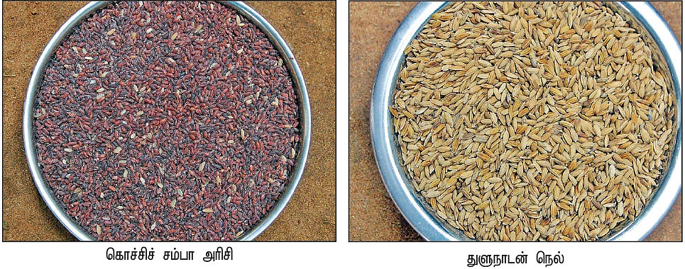 அரிசி, அவல்... மதிப்புக்கூட்டினால் மகத்தான வருமானம்!