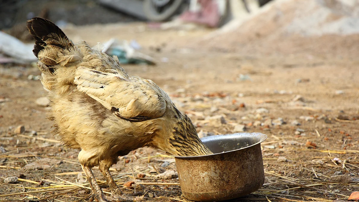 Representational Image