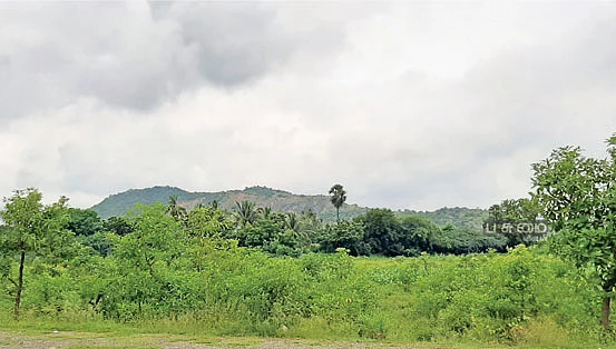 சுற்றுச்சூழல்