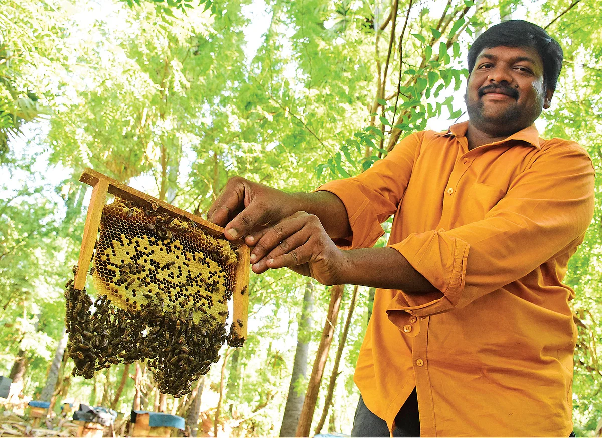 தேனீக்களுடன் ஆனந்த்