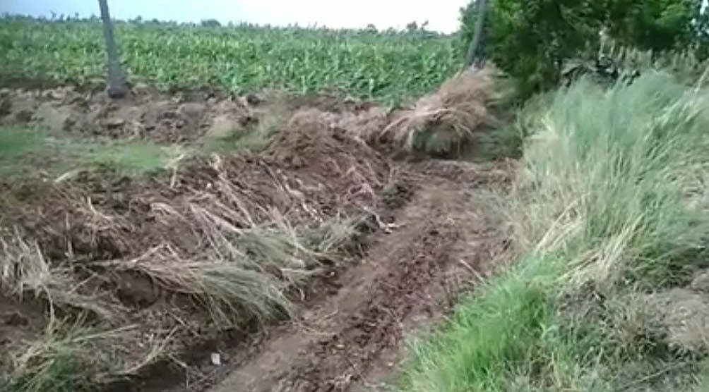 தூர் வாரப்பட்ட கிளை வாய்க்கால்