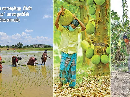 கொரோனாவுக்கு பின் ‘பசுமை’ பாதையில் விவசாயம்!