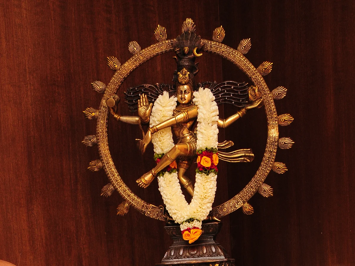 பதஞ்சலி முனிவர் தொடங்கிவைத்த சிதம்பரம் ஆனித் திருமஞ்சன உற்சவத்தின் சிறப்புகள்! #Video