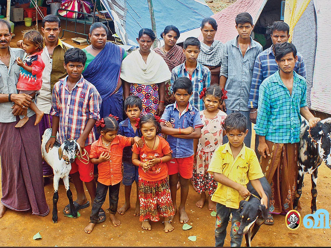 சர்க்கஸ் வீரர்கள், ஆனால் சாப்பாடு கிடைப்பதே சாகசம்!