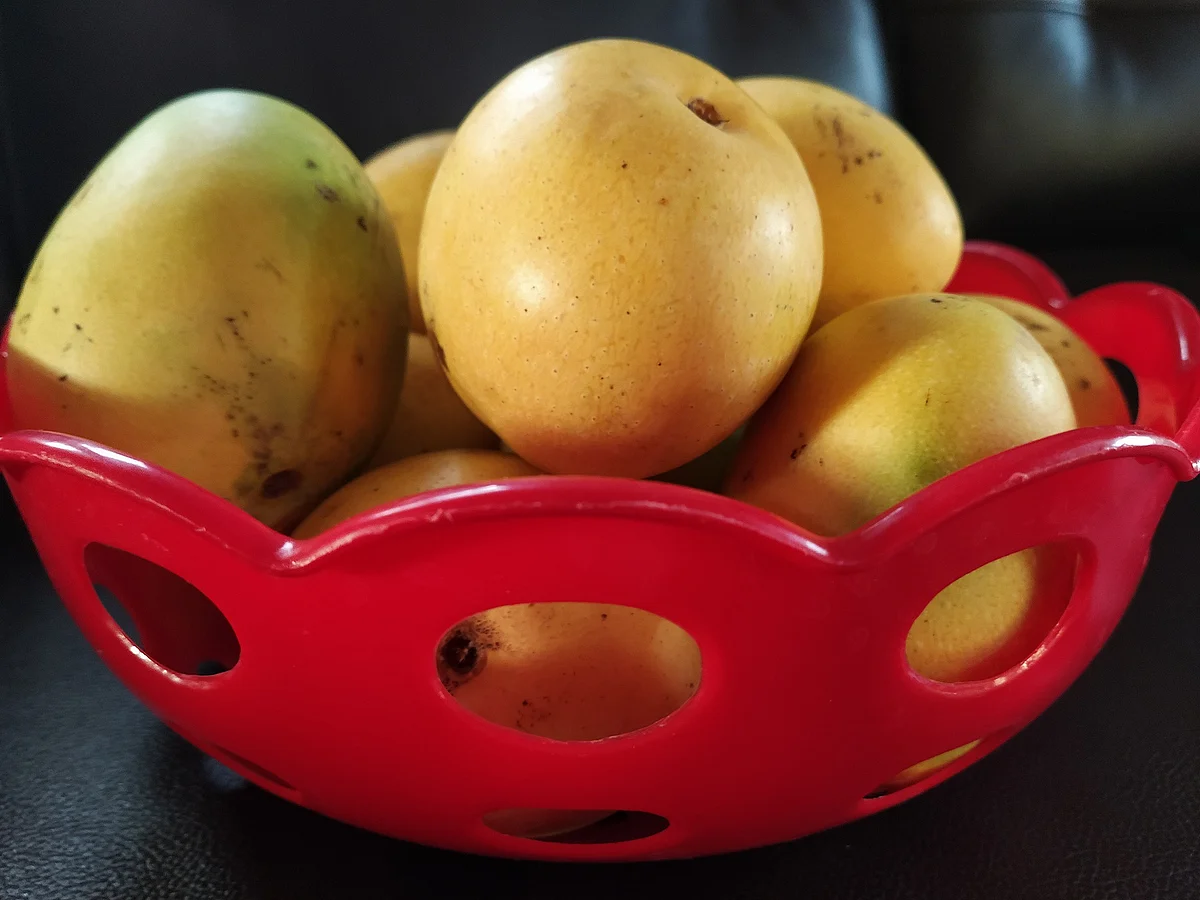 Representational Image