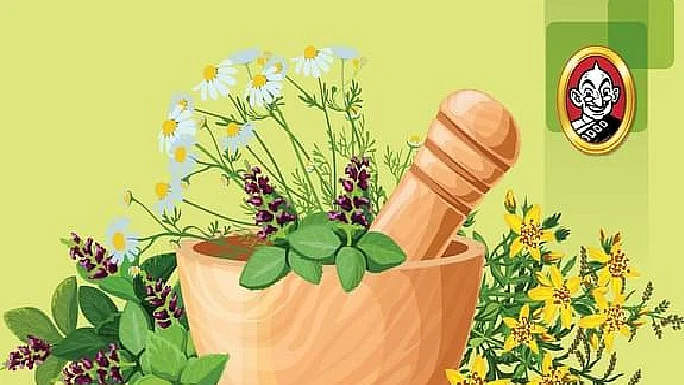 சித்த மருத்துவம்