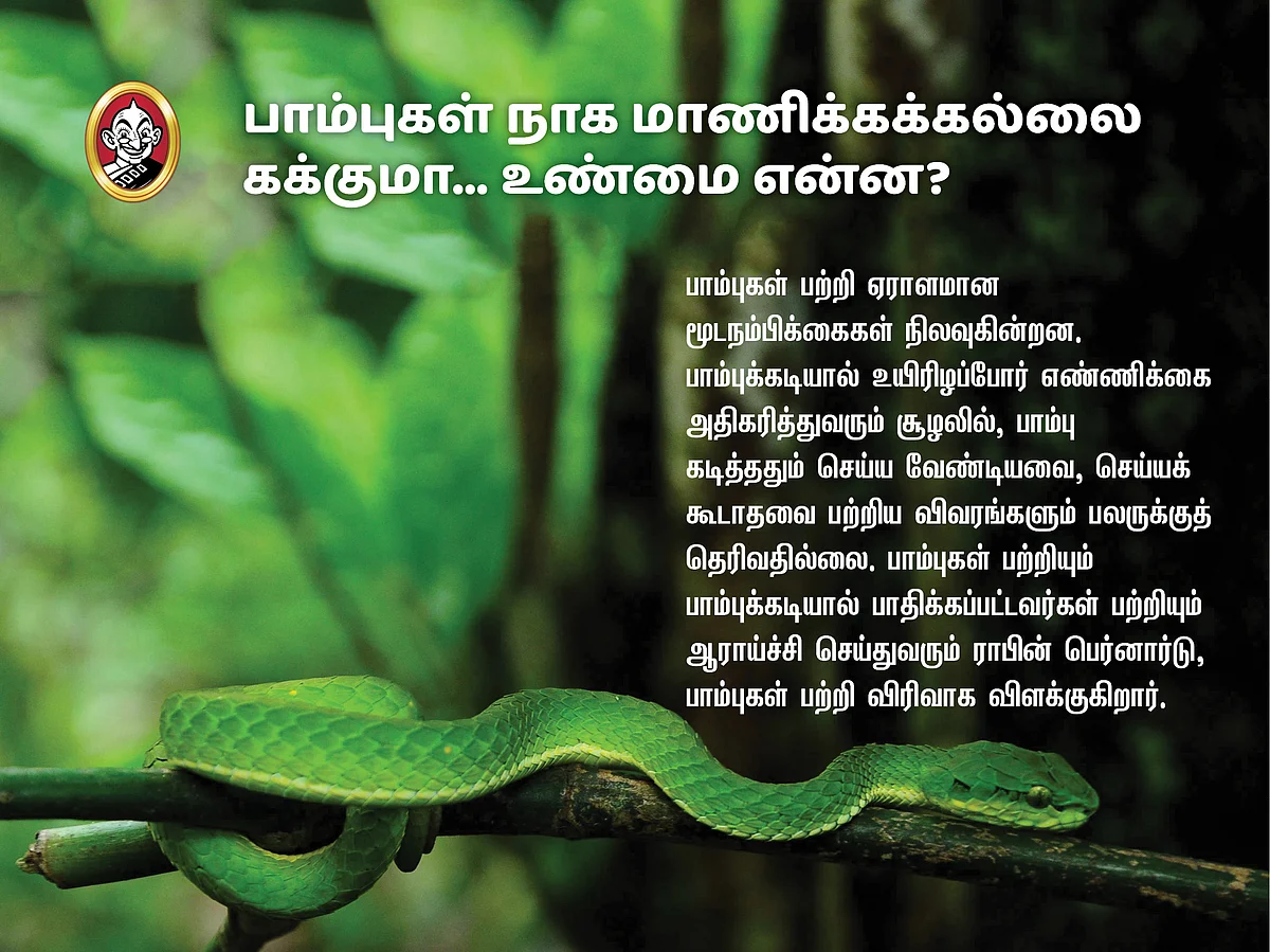 பாம்புகள் நாக மாணிக்கக்கல்லை கக்குமா... உண்மை என்ன? #VikatanPhotoCards