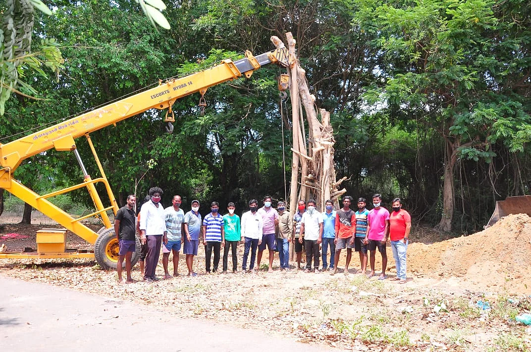 மீண்டும் நடப்பட்ட ஆலமரத்துடன் இளைஞர்கள்