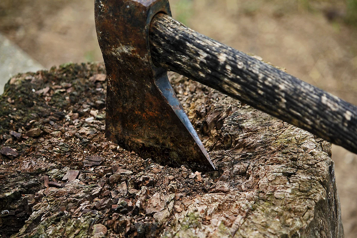 Representational Image