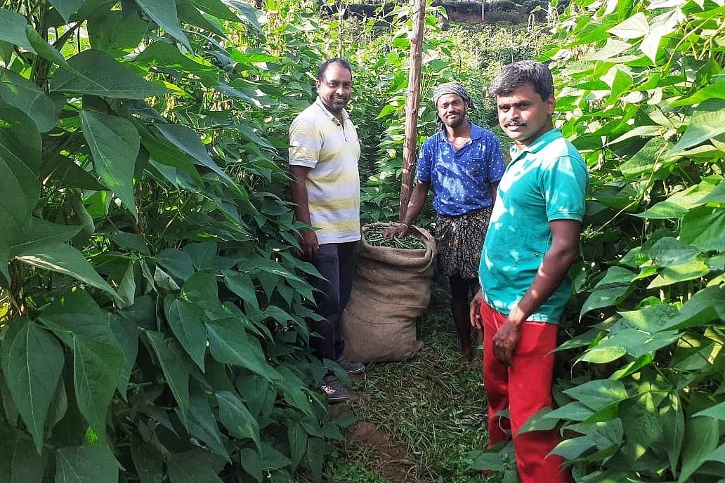 வேளாண் விற்பனைத்துறை