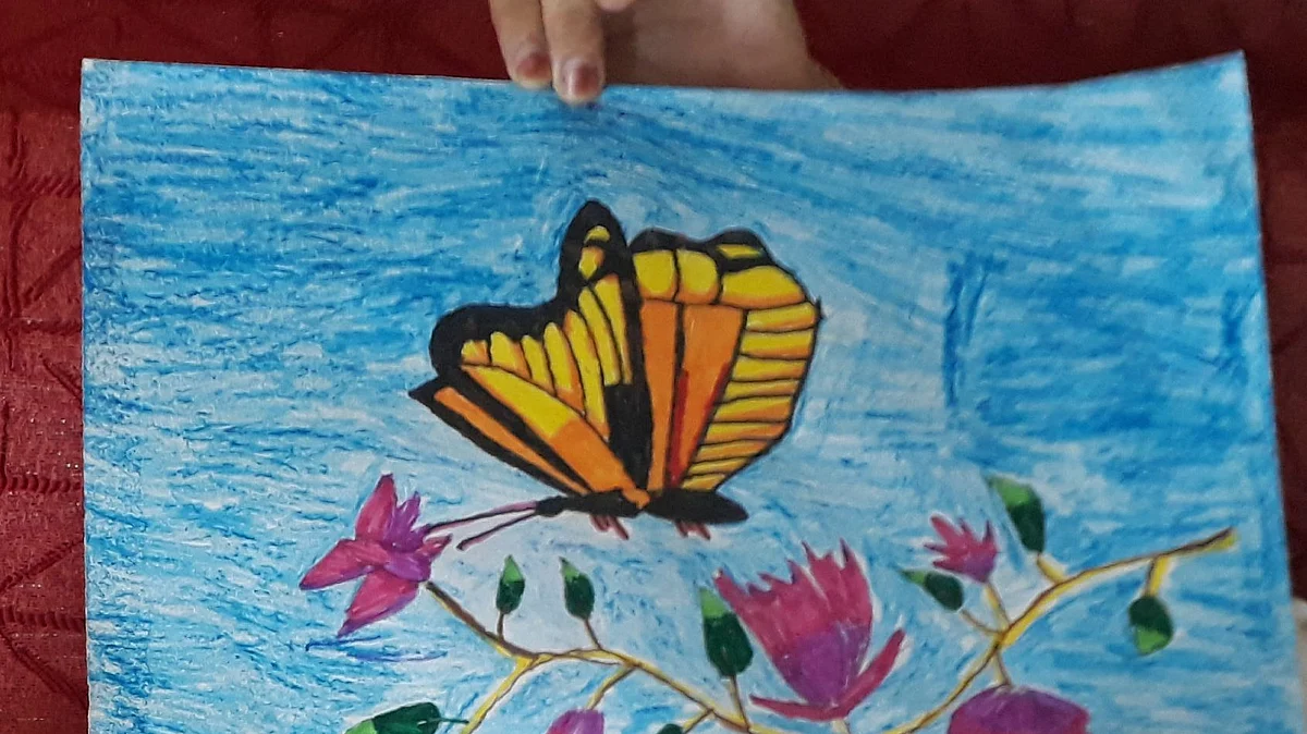 Butterfly