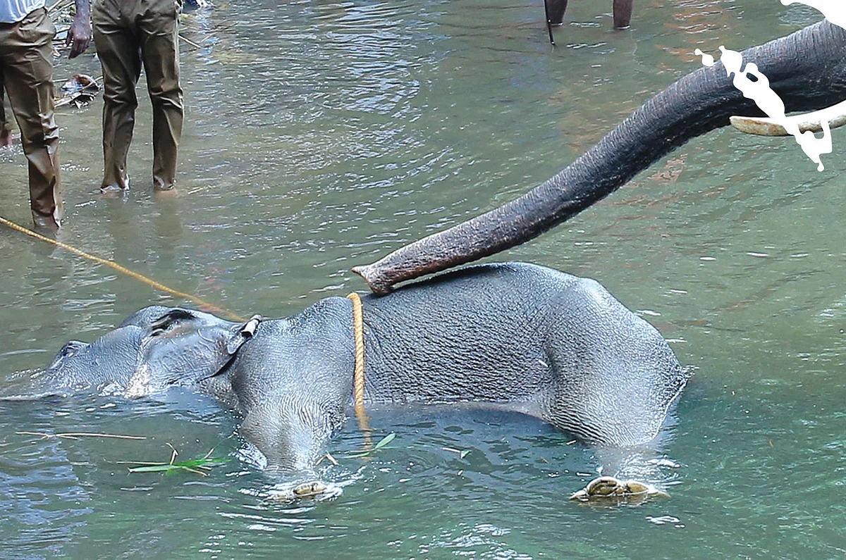கழுகார் பதில்கள்