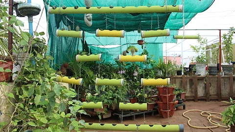 Terrace garden