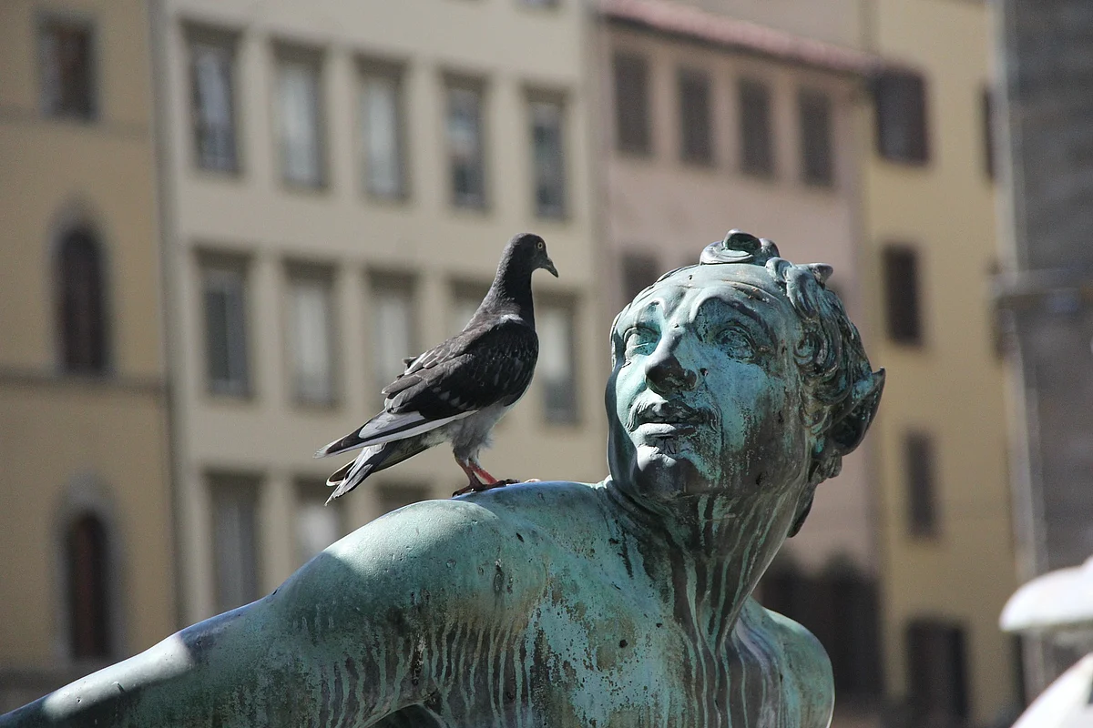 Representational Image