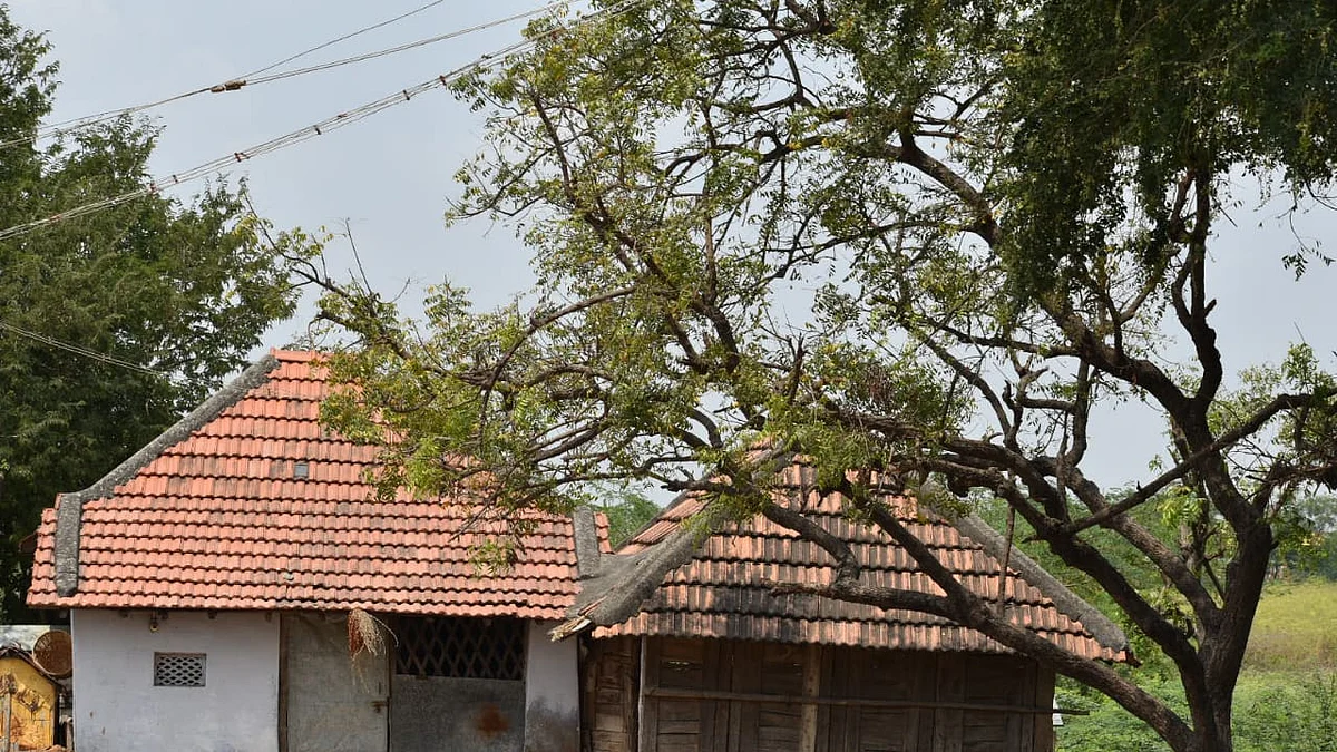 தாத்தாவின் நாகலாபுரம் வீடு