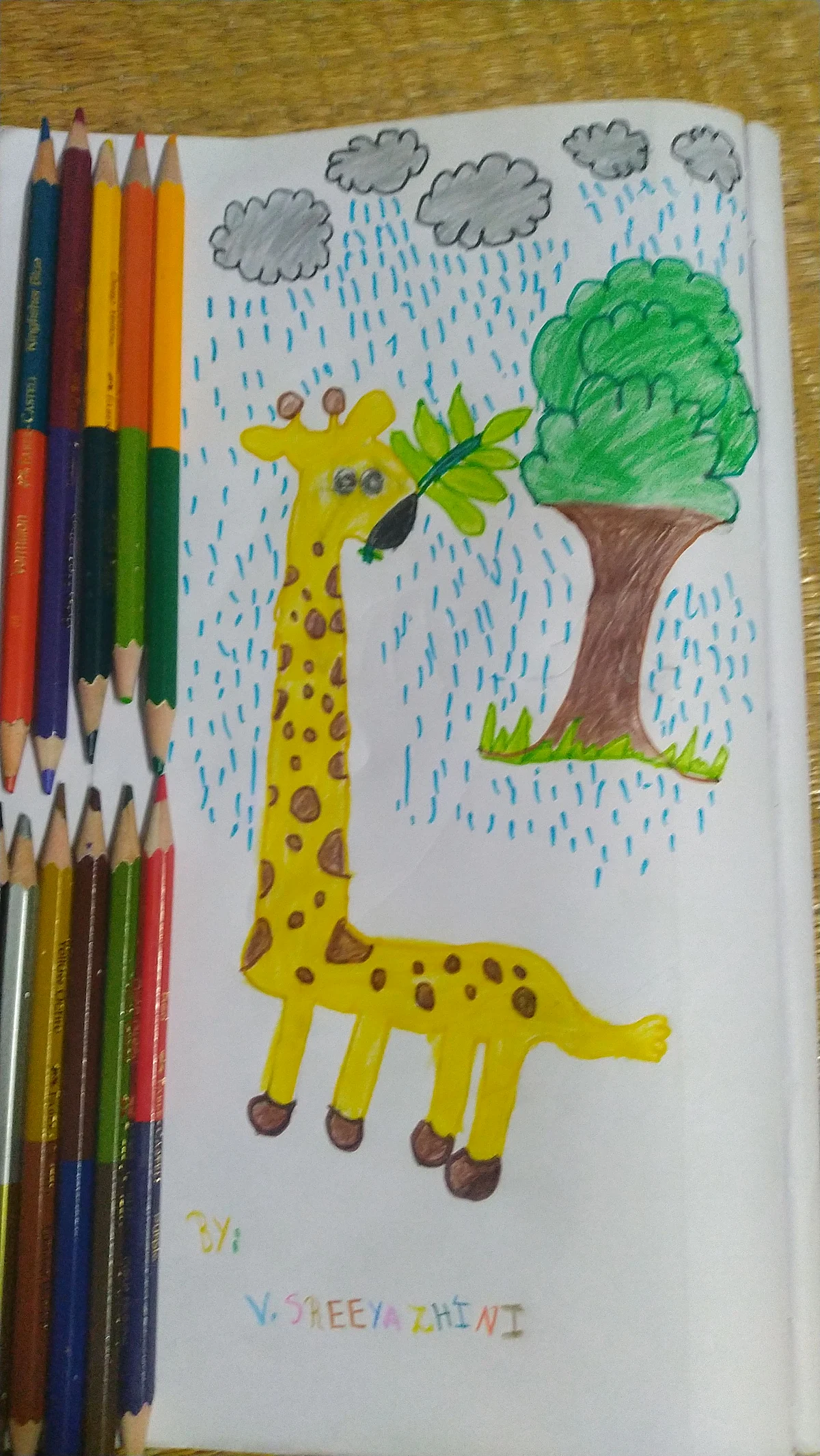Giraffe