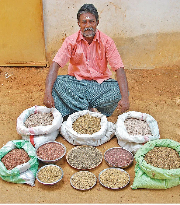 பாரம்பர்ய அரிசி மற்றும் நெல் வகைகள்