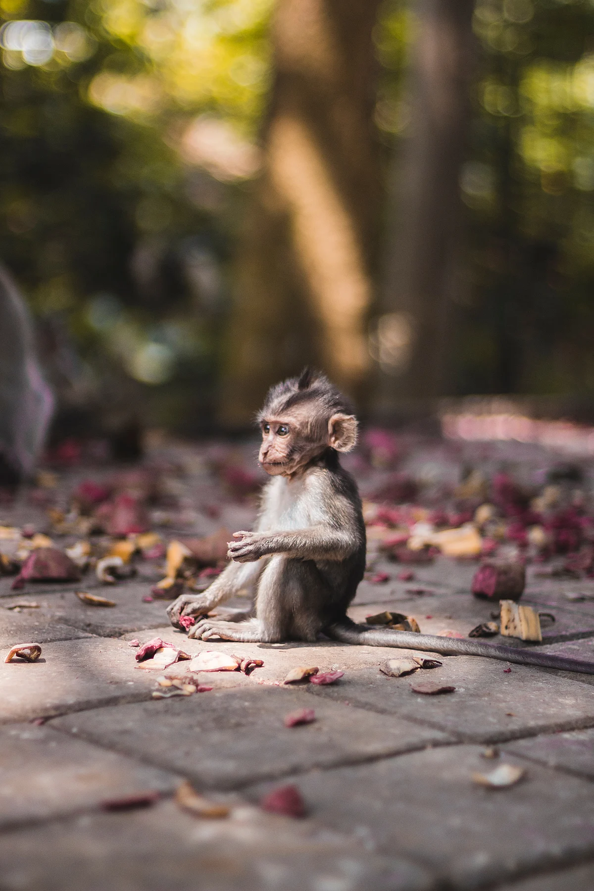 Representational Image