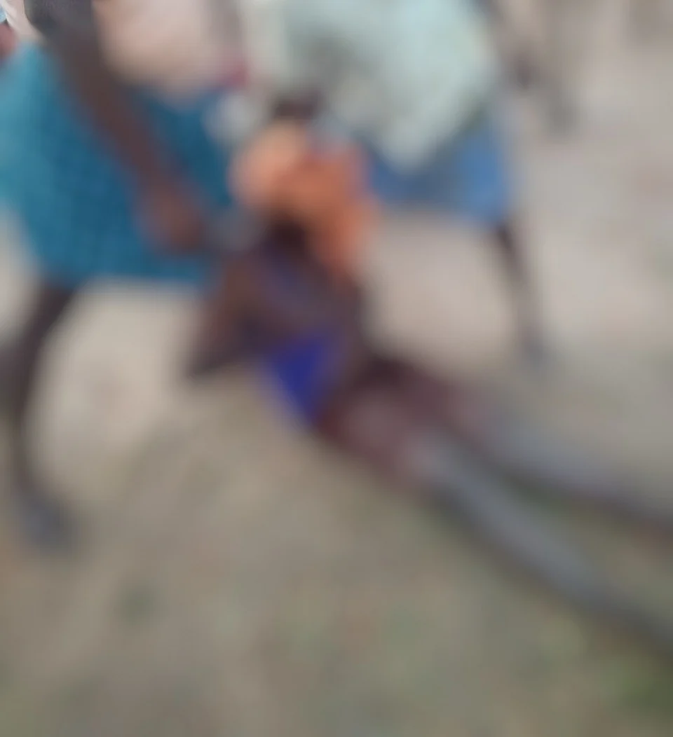 படுகாயமடைந்த ஆண்டி