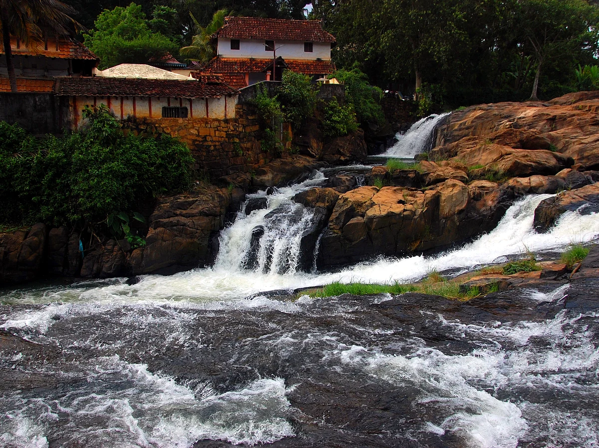 குமரியில் இயற்கை எழில் கொஞ்சும் அருவிக்கரை... மாம்பழத்துறையாறு அணைக்கட்டு! #PhotoAlbum