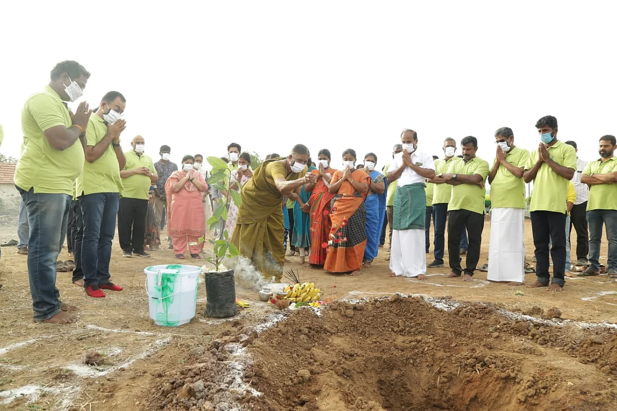 மரக்கன்று நடவு