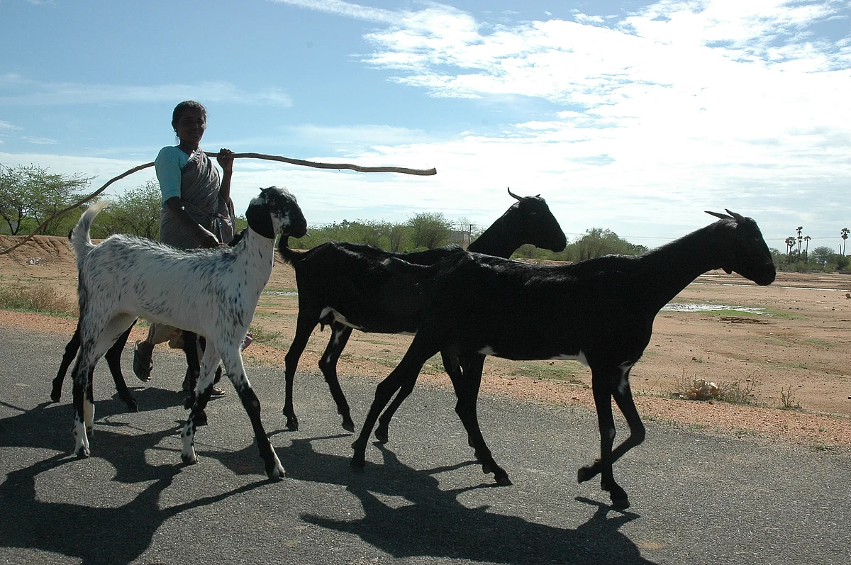 Representational Image