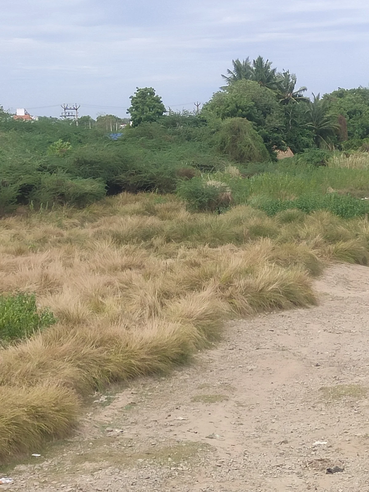 வெண்ணாறு