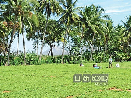 இயற்கை வேளாண்மை : 9 - நல்ல மகசூலுக்கு உதவும் உயிர் உரங்கள்!