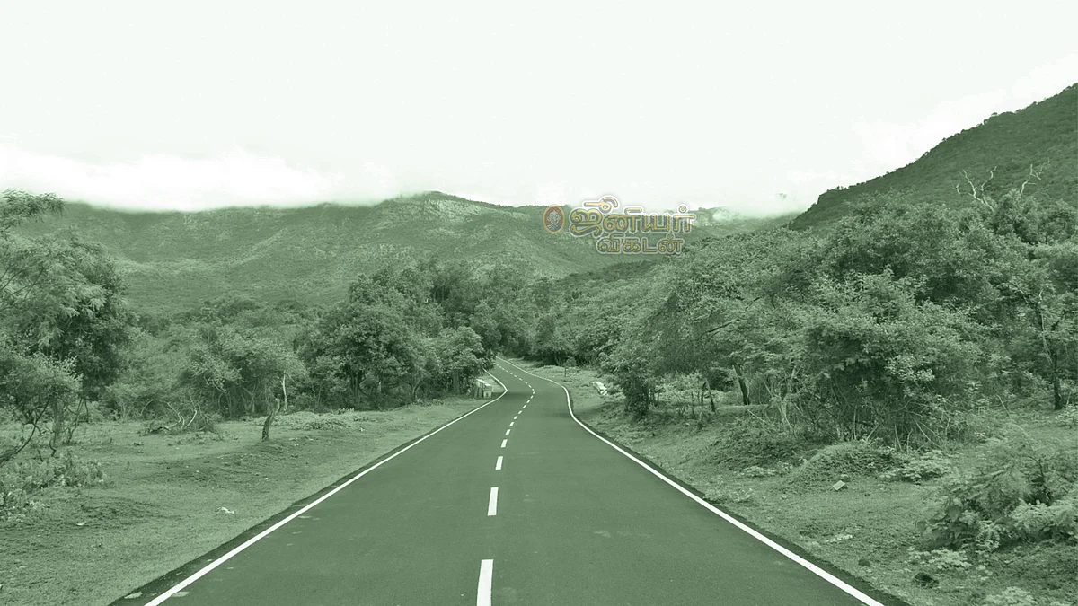 முதுமலை