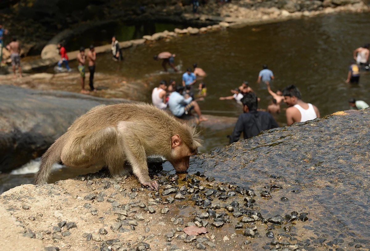Representational Image