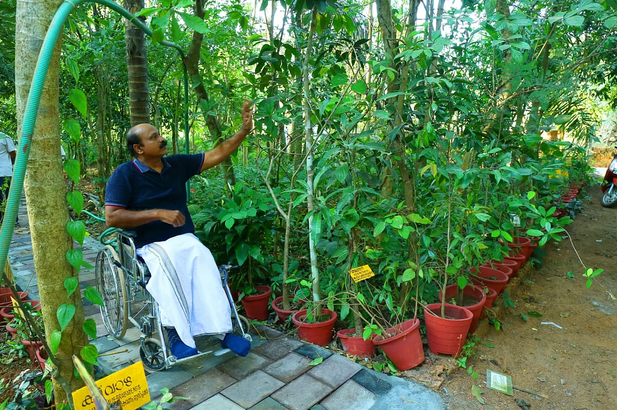 மூலிகைப் பண்ணையில் முஸ்தஃபா