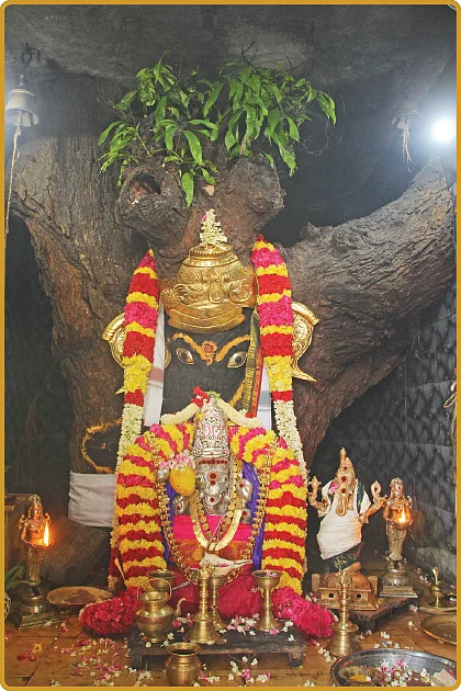 ஶ்ரீ அகோர கணநாத மூலமந்திர ஹோமம்