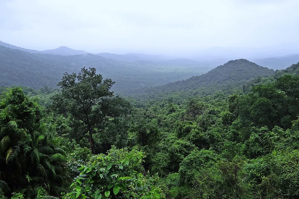 மேற்குத் தொடர்ச்சி மலை