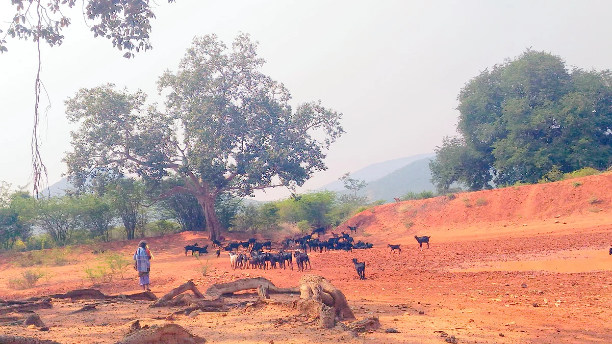முன்பு வறண்டுகிடந்த பாப்பாமடை குளம்