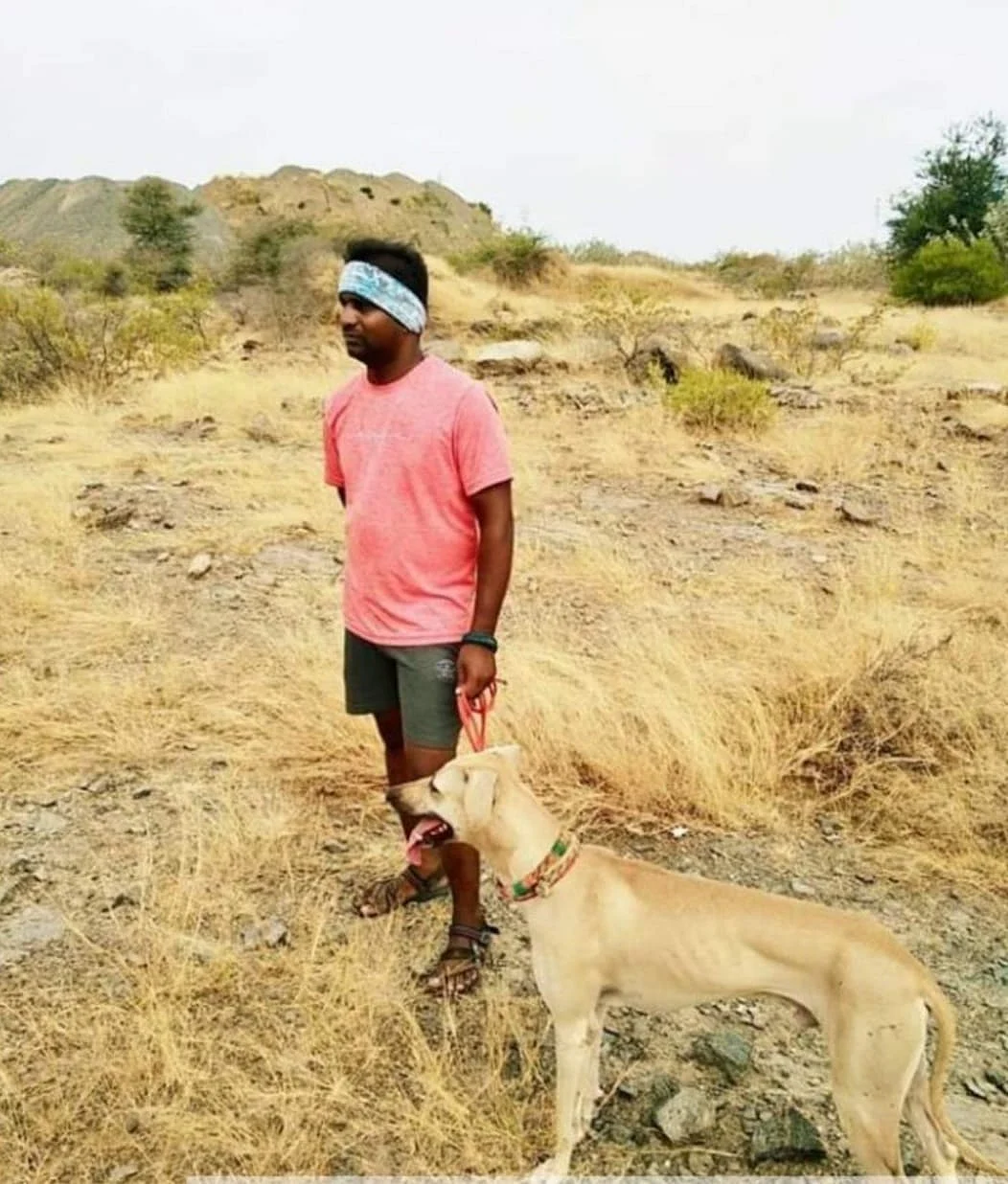 வன விலங்களை வேட்டையாடுதல்