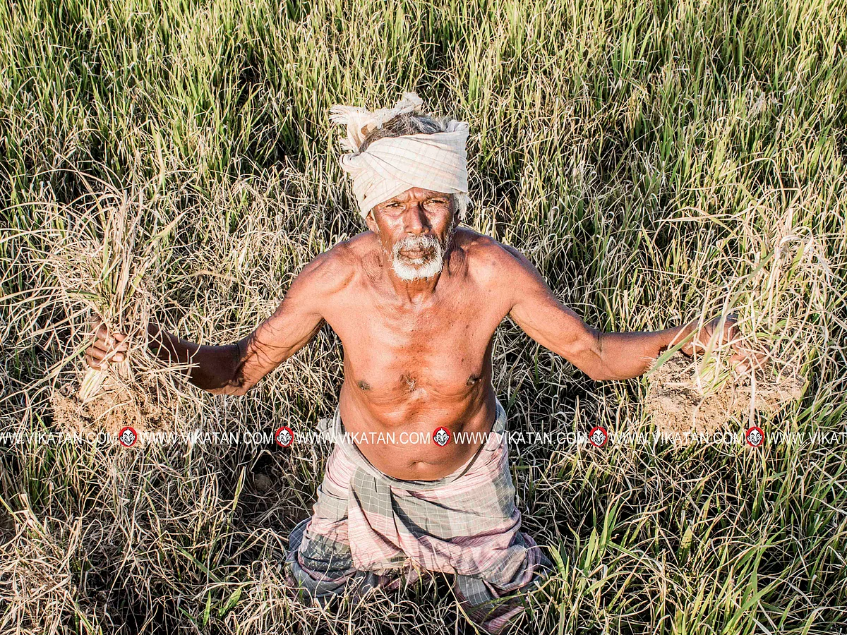 தேசிய வங்கிகளின் நிலைதான், இனி கூட்டுறவுக்கும்! -அச்சத்தில் விவசாயிகள்