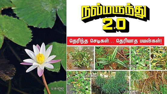 நல்மருந்து 2.0