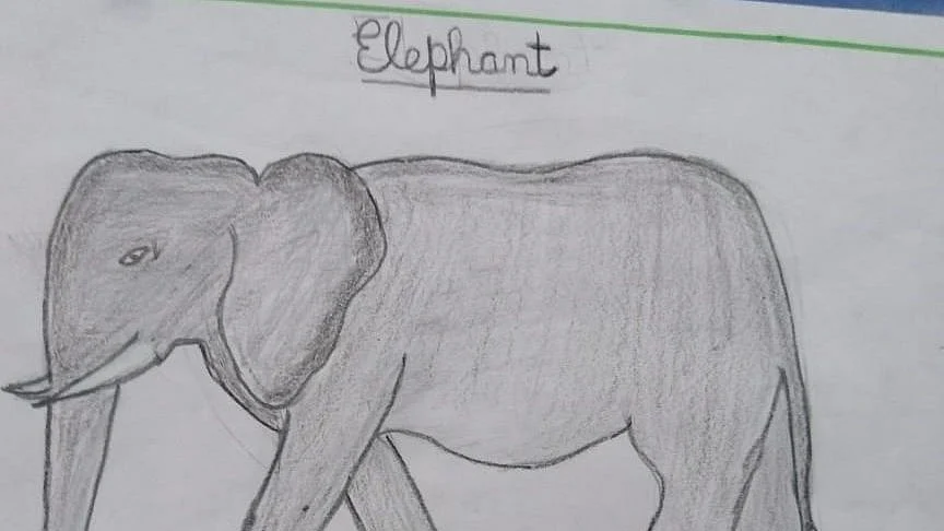 Elephant