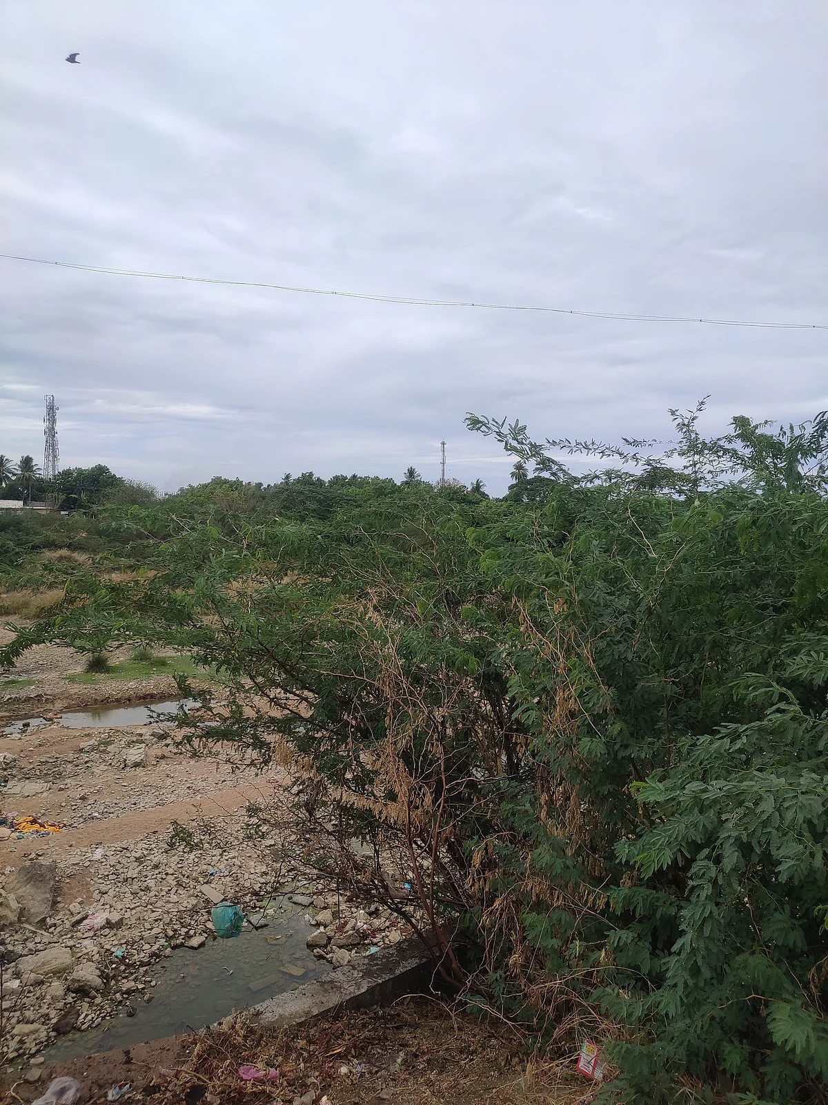 வெட்டாறு