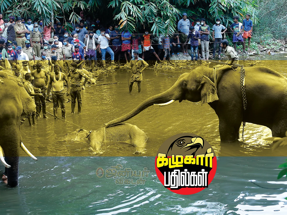 கழுகார் பதில்கள்