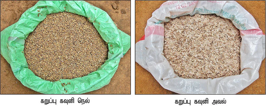அரிசி, அவல்... மதிப்புக்கூட்டினால் மகத்தான வருமானம்!