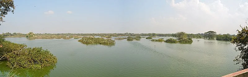 பறவைகள் சரணாலயம்