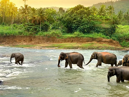தீரா உலா: எமது இலங்கைச் செலவு!