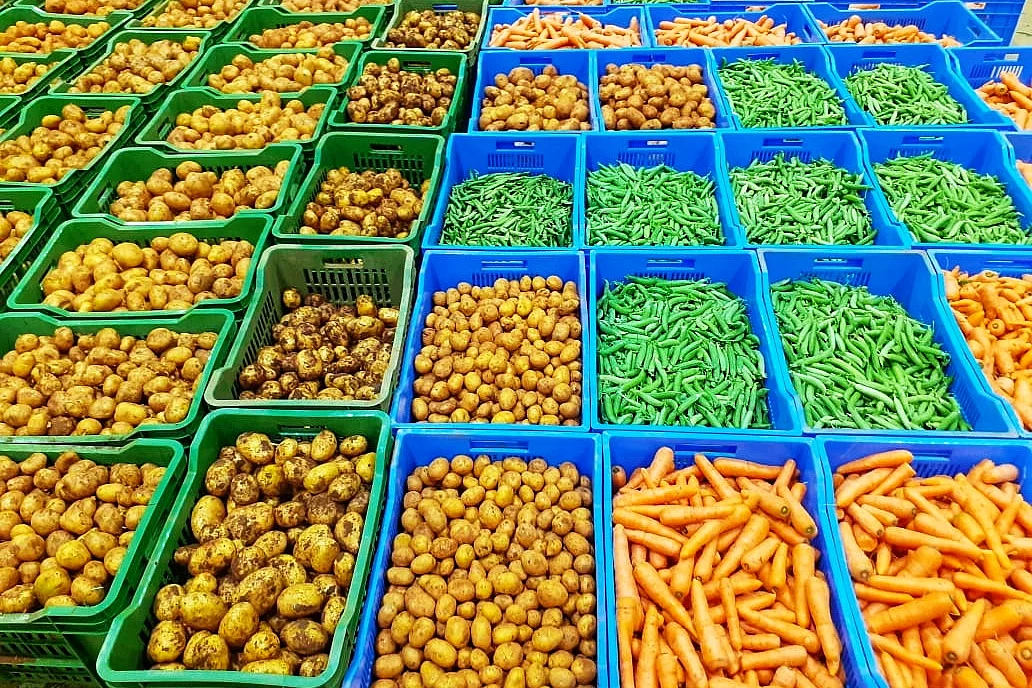vegetable
