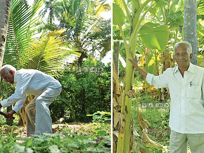 ஆண்டுக்கு ஒரு லட்சம்! - 80 வயது இளைஞரின் இயற்கை விவசாயம்!