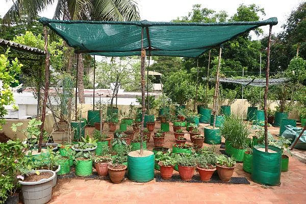 terrace garden