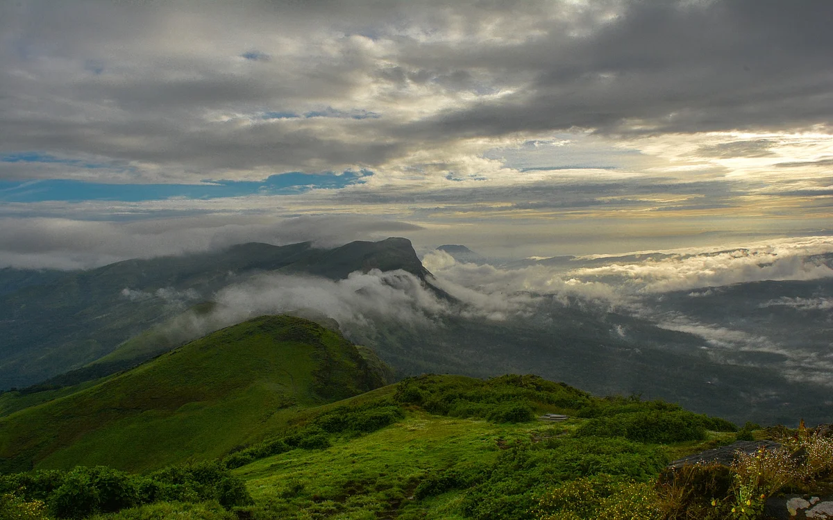 மேற்குத்தொடர்ச்சி மலை